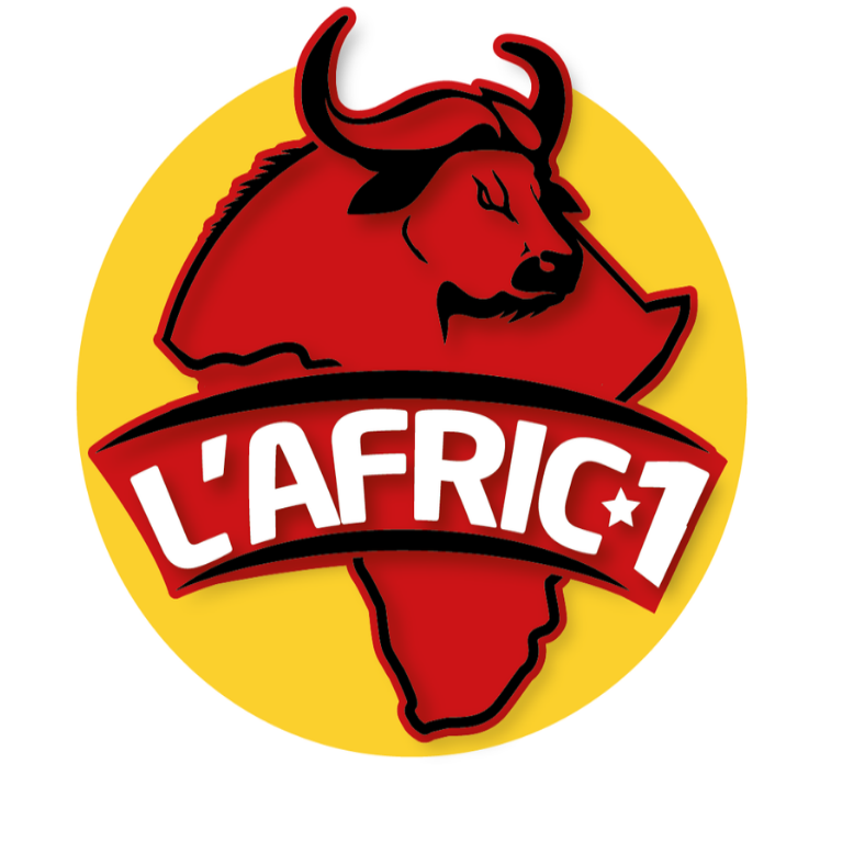 lartisanafricain